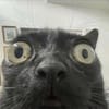 오태민 avatar